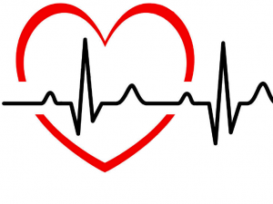 Diagnostic Monitoring | Kojima Medical | China Medical Device Distributor